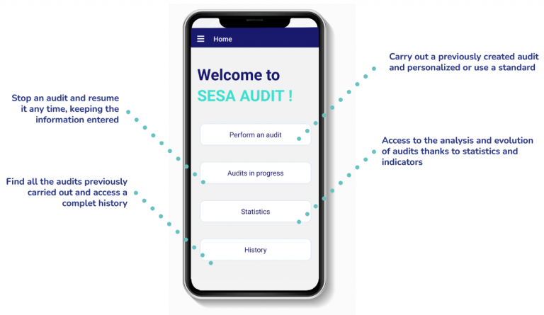 schema explicatif SESA AUDIT